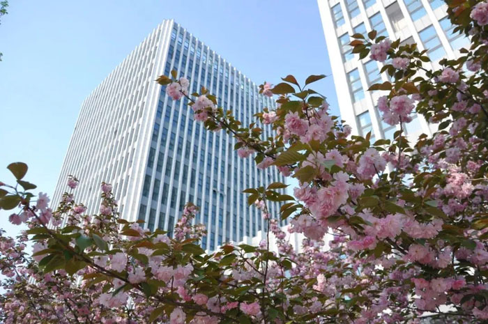 1587521395689153.jpg 640.webp.jpg